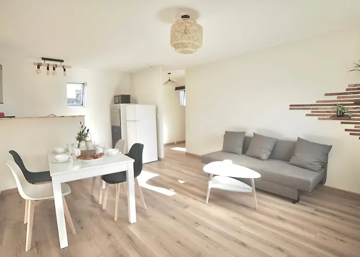 Appartement Havre Cosy Orthez